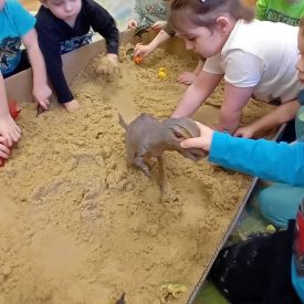 Dzień Dinozaura w grupie I