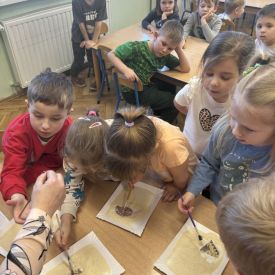 Dzień Dinozaura w grupie III