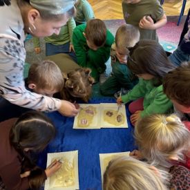 Dzień Dinozaura w grupie IV