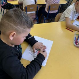 Dzień Kobiet w grupie IV