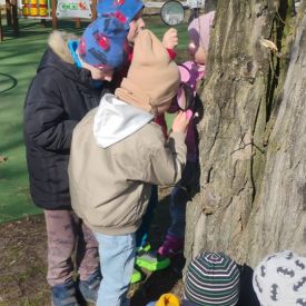 Poszukiwania wiosny w grupie III