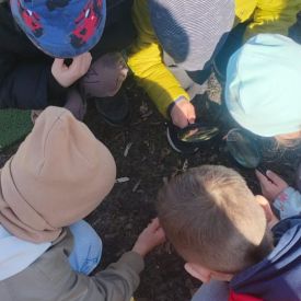 Poszukiwania wiosny w grupie III