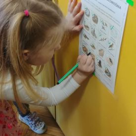 Poszukiwania wiosny w grupie III