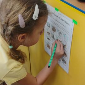 Poszukiwania wiosny w grupie III