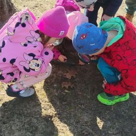 Poszukiwania wiosny w grupie III