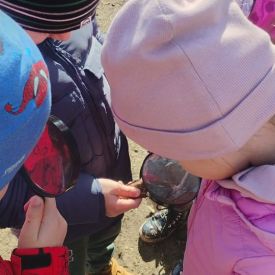 Poszukiwania wiosny w grupie III