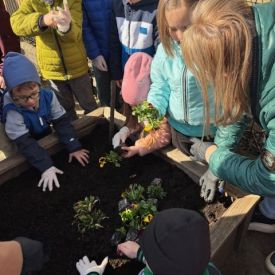 Poszukiwania wiosny w grupie III