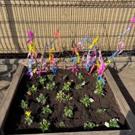 Poszukiwania wiosny w grupie III