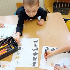 Dzień kota w grupie I Misie