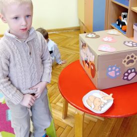 Dzień kota w grupie I Misie