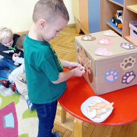 Dzień kota w grupie I Misie