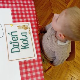 Dzień kota w grupie I Misie