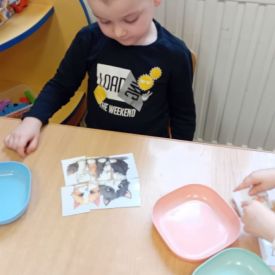 Dzień kota w grupie I Misie