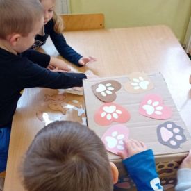 Dzień kota w grupie I Misie