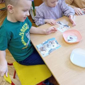 Dzień kota w grupie I Misie