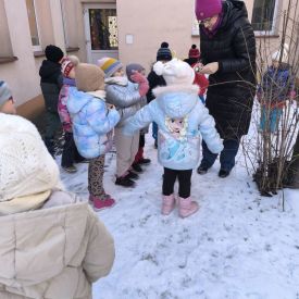 Dokarmianie ptaków - działania edukacyjne w grupie II Motylki