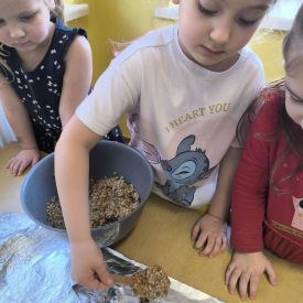Dokarmianie ptaków - działania edukacyjne w grupie II Motylki