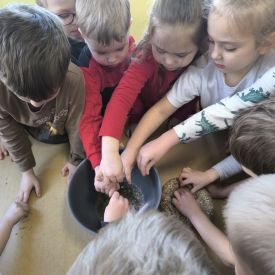 Dokarmianie ptaków - działania edukacyjne w grupie II Motylki
