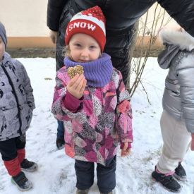 Dokarmianie ptaków - działania edukacyjne w grupie II Motylki