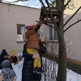 Dokarmianie ptaków - działania edukacyjne w grupie II Motylki