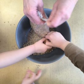 Dokarmianie ptaków - działania edukacyjne w grupie II Motylki