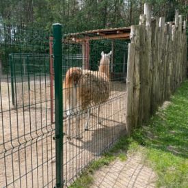 Wycieczka autokarowa grupy II.