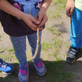 Projekt edukacyjny - Z przyrodą za pan brat – mały badacz, wielki odkrywca - grupa 3
