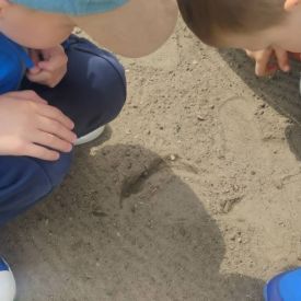 Projekt edukacyjny - Z przyrodą za pan brat – mały badacz, wielki odkrywca - grupa 3