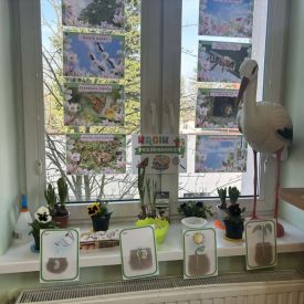 Projekt edukacyjny - Z przyrodą za pan brat – mały badacz, wielki odkrywca - grupa 3