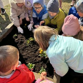 Projekt edukacyjny - Z przyrodą za pan brat – mały badacz, wielki odkrywca - grupa 3