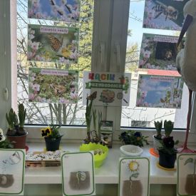 Projekt edukacyjny - Z przyrodą za pan brat – mały badacz, wielki odkrywca - grupa 3