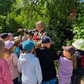 Projekt edukacyjny - Z przyrodą za pan brat – mały badacz, wielki odkrywca - grupa 3