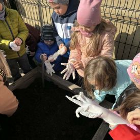 Projekt edukacyjny - Z przyrodą za pan brat – mały badacz, wielki odkrywca - grupa 3