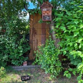 Projekt edukacyjny - Z przyrodą za pan brat – mały badacz, wielki odkrywca - grupa 3