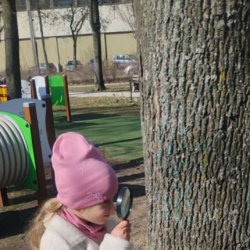 Poszukiwania wiosny w grupie III