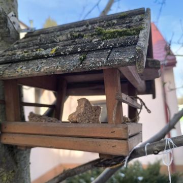 Dokarmianie ptaków - działania edukacyjne w grupie II Motylki